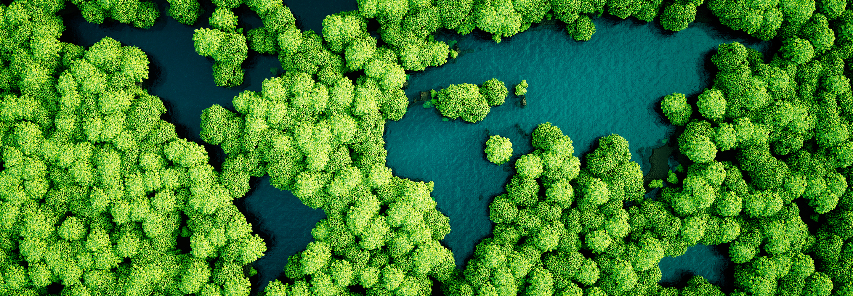Nature World